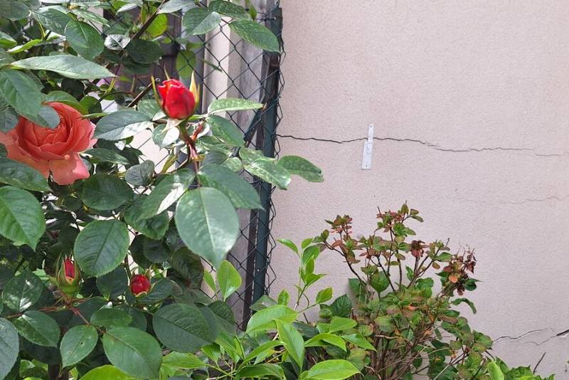 Le dérèglement climatique a des effets sur le bâtiment, le confort, la sécurité et les modes de vie. Vision de GCA Courtage