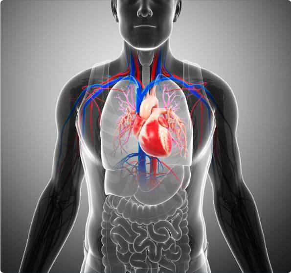 Mutuelle et prévoyance d'entreprise: Le point sur la legislation par GCA Courtage Aix en Provence, Marseille, Montpellier et Toulouse. 