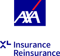 L'assurance de grandes entreprises et de programmes internationaux