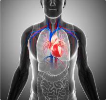 Notre zone d'activité pour ce service Assurance chantier du bâtiment obligatoire